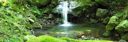 waterfall in the middle of wood       の写真素材