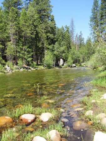 river close-up in yosemite parkの写真素材