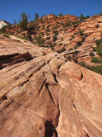Slopes of Zion canyon. Utah. USAの写真素材