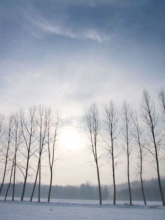 silence in countryside during winter timeの写真素材