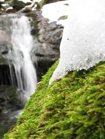 moss detail with waterfall as backgroundの写真素材