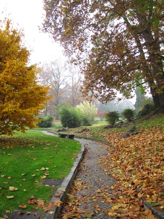 autumn season in the parkの写真素材