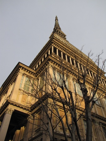  Mole Antonellianaのeditorial素材