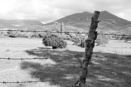 barbed wireの写真素材