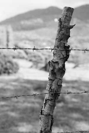 barbed wireの写真素材