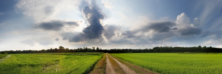 countryside in summer timeの写真素材