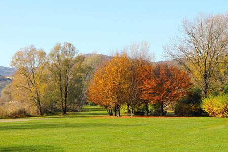 autumn in the urban parkの写真素材