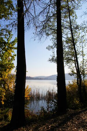 autumn season around the lakeの写真素材