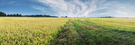 road in countrysideの写真素材