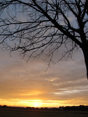 good morning  autumnの写真素材