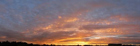 good morning  autumnの写真素材
