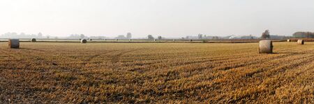 countryside after harvest during autumn seasonの写真素材