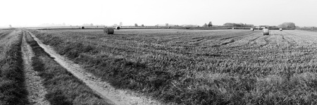 countryside after harvest during autumn seasonの写真素材