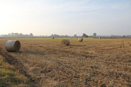 countryside after harvest during autumn seasonの写真素材
