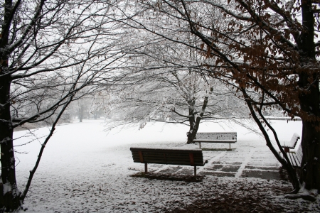 bench under the snowの写真素材