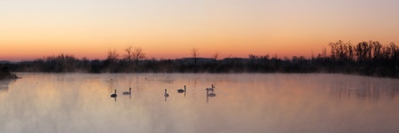 good morning, winterの写真素材