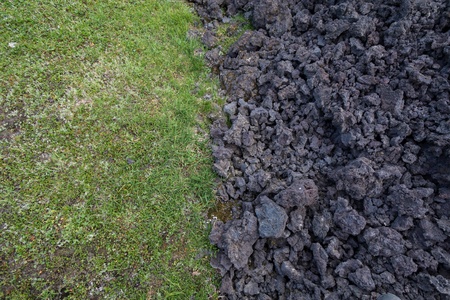 ground with life and without life