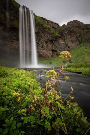 seljalandsfoss waterfallの写真素材