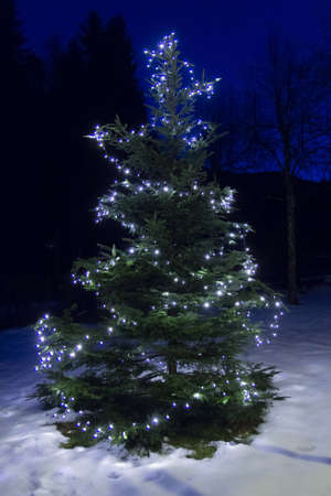 christmas treeの写真素材