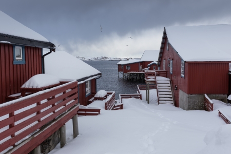 lofoten island during winter timeの写真素材