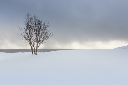 winter time is coming fastの写真素材