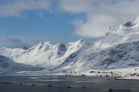 lofoten island during winter timeの写真素材