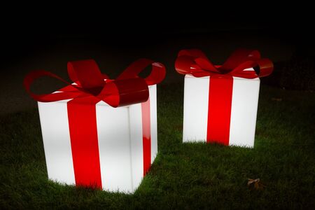 big present for a special personの写真素材