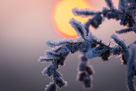 frozen winterの写真素材