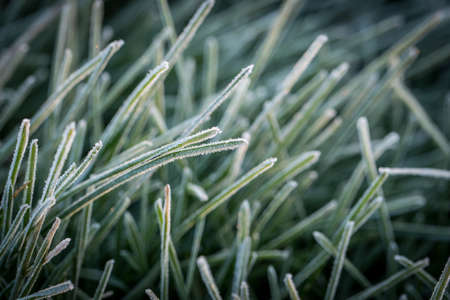 frozen winterの写真素材