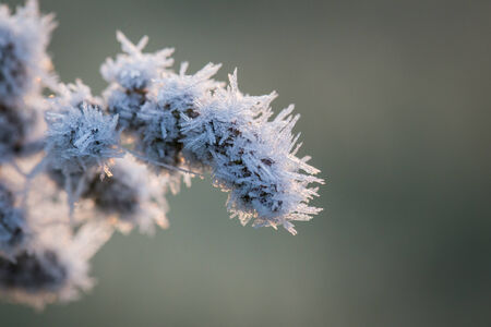 frozen winterの写真素材