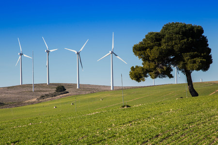 wind farm for a sustainable future