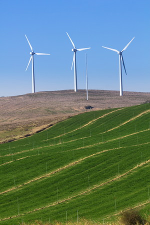 wind farm for a sustainable future