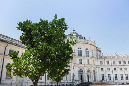 Stupinigi Palace, old king residencial houseのeditorial素材
