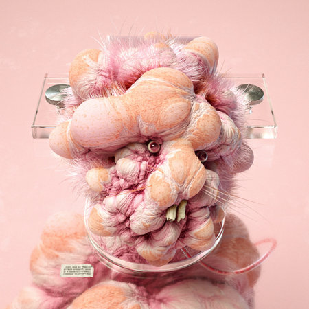 3d nft collection, character pokusの写真素材