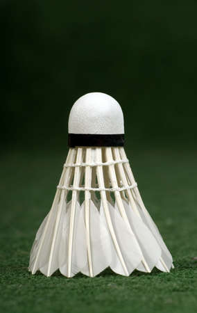There is white badminton on green grassの写真素材