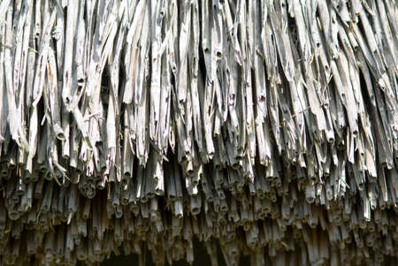 There is old rough wood of grey colorの写真素材