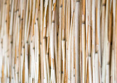 There is old rough wood of grey colorの写真素材