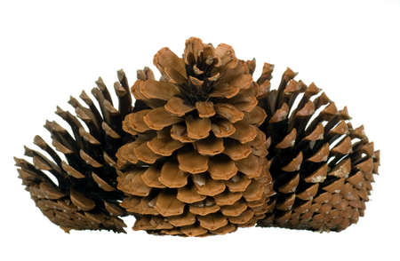 There is nice and big cone on backgroundの写真素材