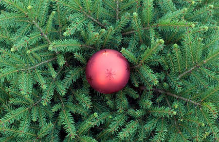 There is a christmas toy for congratulationの写真素材