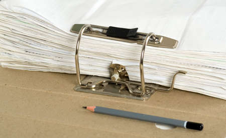 Composition of a lot of documents and catalogs