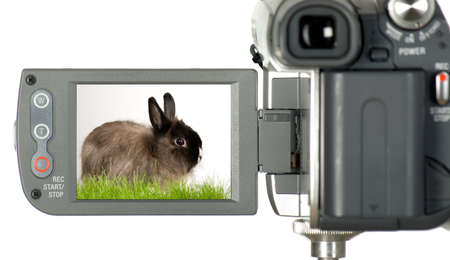 There is photo camera with rabbit on displayの写真素材
