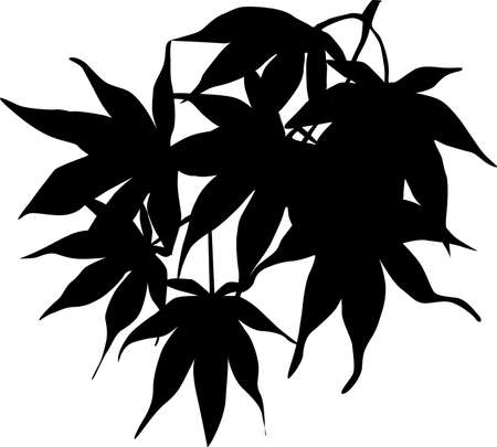 The is a picture of various figuresのイラスト素材