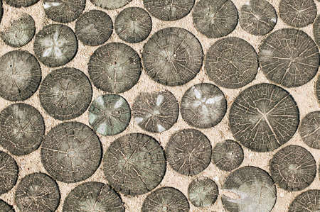 Wooden texture made on sand for purposesの写真素材