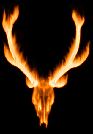 There is a horn of dead animal on flaming fireの写真素材
