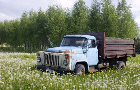 There is old antique truck on field of dandelionsの写真素材