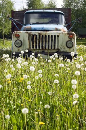 There is old antique truck on field of dandelionsの写真素材