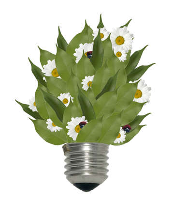 Light bulb on white background with flowers and leaves