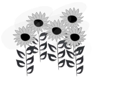 Beautiful hand draw flowers with amazing blossoms on white backgroundのイラスト素材