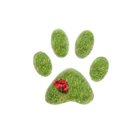 There is foot made from green grass and flowers on itの写真素材