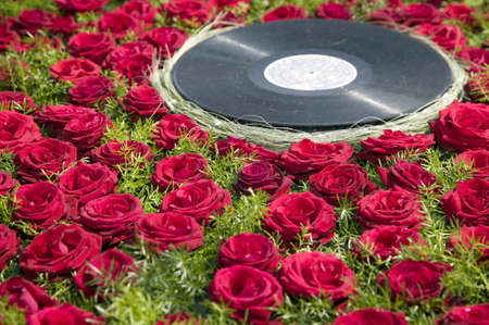 Old black vinyl surrounded with red rosesの写真素材